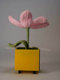 Handmade Crochet Flower in Bee Flower Pot