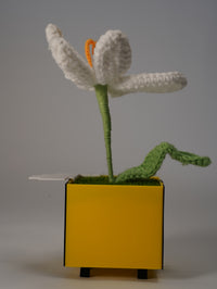 Handmade Crochet Flower in Bee Flower Pot