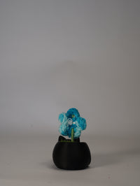 Handmade Crochet Flower in Black Cat Flower Pot